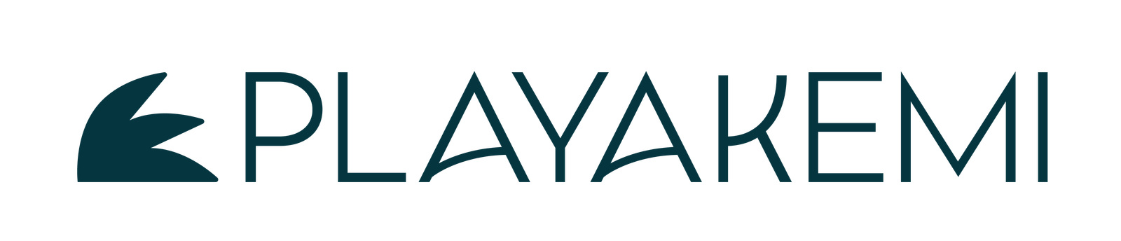 Playakemi Logo